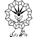 رازی